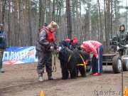 Превью фото № 124653