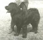 Превью фото № 1247