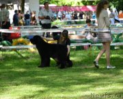 Превью фото № 124710