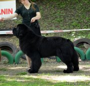 Превью фото № 124712