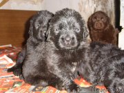 Превью фото № 124755