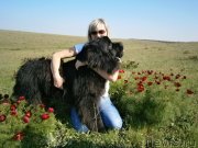 Превью фото № 124757