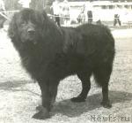 Превью фото № 1248