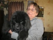 Превью фото № 124904