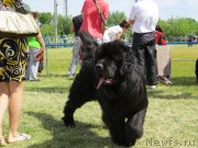 Превью фото № 124957