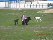 Превью фото № 124994