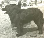 Превью фото № 1250