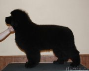 Превью фото № 125116