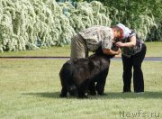 Превью фото № 125126