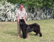 Превью фото № 125127