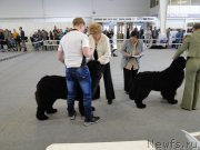 Превью фото № 125156