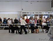 Превью фото № 125158