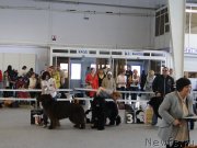 Превью фото № 125161