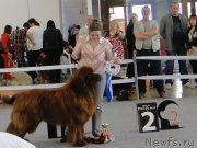 Превью фото № 125162