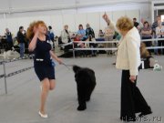 Превью фото № 125165