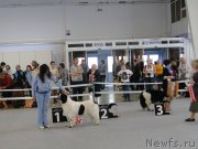 Превью фото № 125168