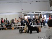 Превью фото № 125170