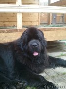 Превью фото № 125176