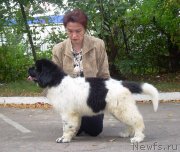 Превью фото № 125233