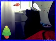 Превью фото № 125234