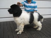 Превью фото № 125254