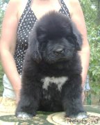 Превью фото № 125256