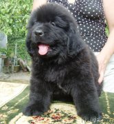 Превью фото № 125271