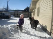 Превью фото № 125292