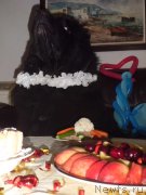 Превью фото № 125298