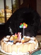 Превью фото № 125301