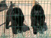 Превью фото № 125310