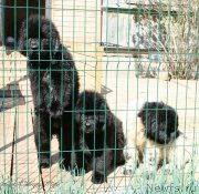 Превью фото № 125317