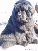 Превью фото № 125326