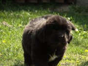 Превью фото № 125328