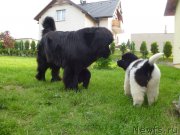 Превью фото № 125350