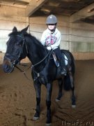 Превью фото № 125378