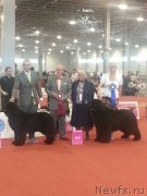 Превью фото № 125403