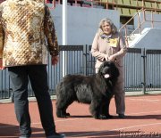 Превью фото № 125404