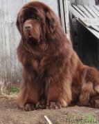 Превью фото № 125453