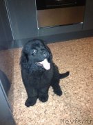 Превью фото № 125469