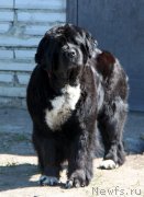 Превью фото № 125521