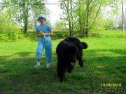 Превью фото № 125596