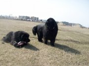 Превью фото № 125633