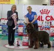 Превью фото № 125648