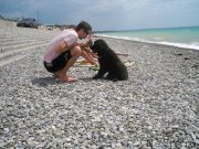 Превью фото № 125663