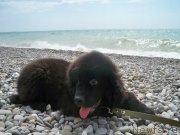 Превью фото № 125679