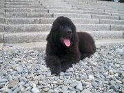 Превью фото № 125681