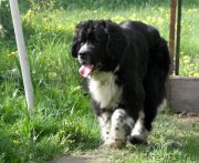 Превью фото № 125696