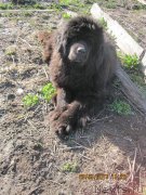 Превью фото № 125775