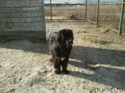 Превью фото № 125778